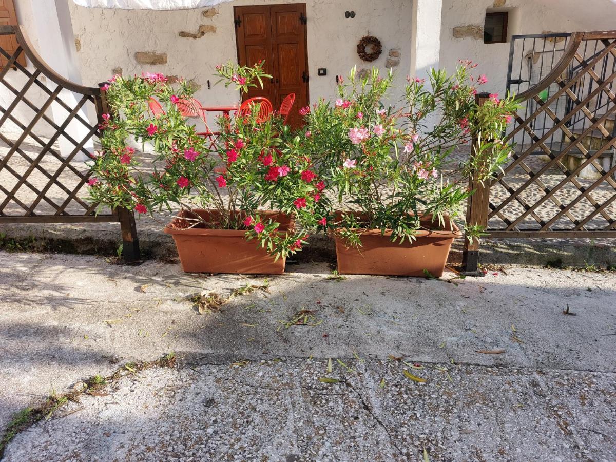 לאביס Cottage Lavanda E Rosmarino מראה חיצוני תמונה