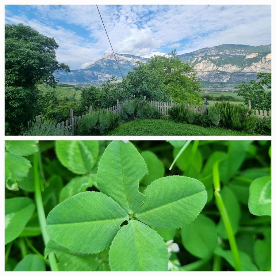 לאביס Cottage Lavanda E Rosmarino מראה חיצוני תמונה