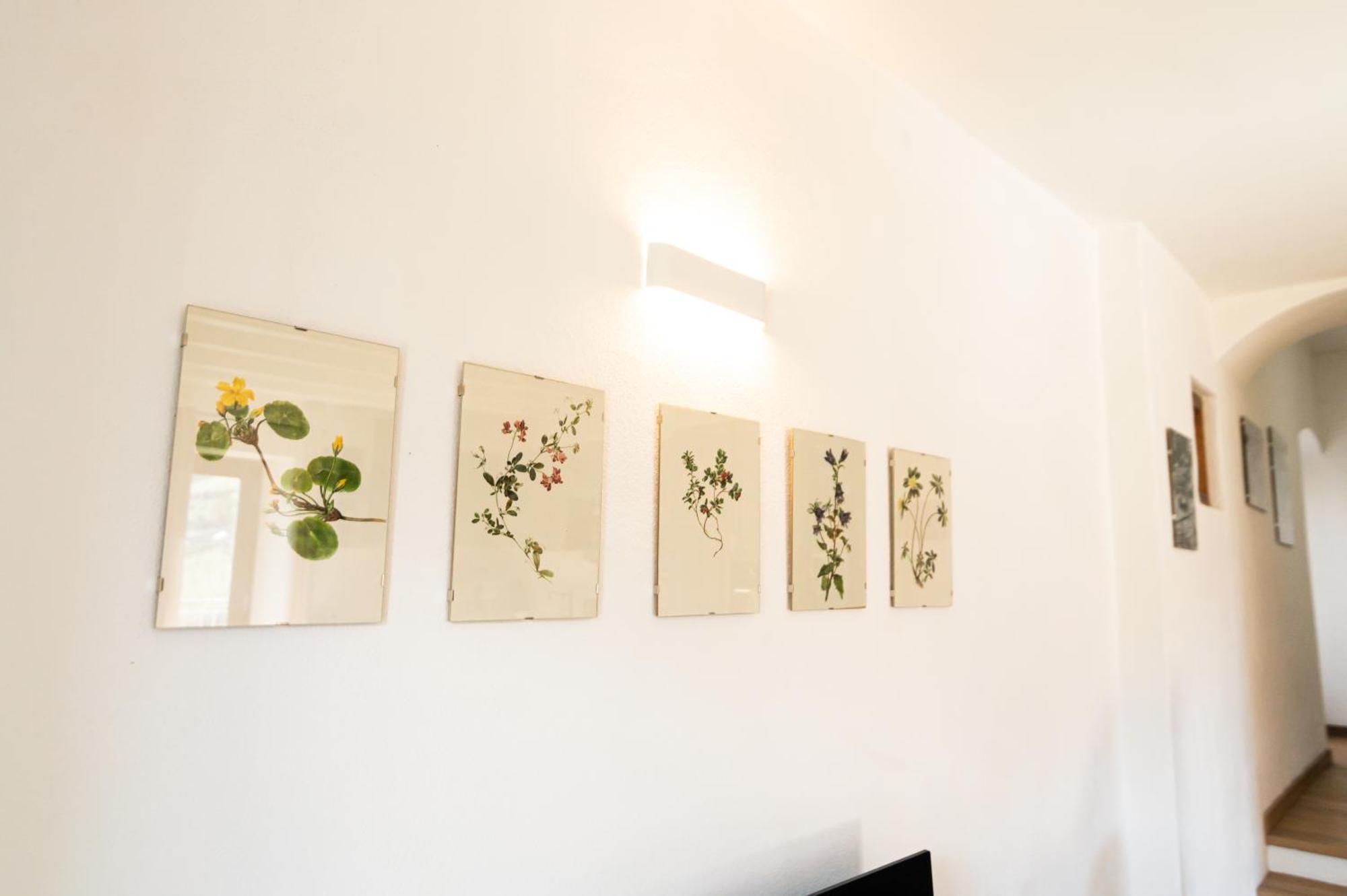 לאביס Cottage Lavanda E Rosmarino מראה חיצוני תמונה