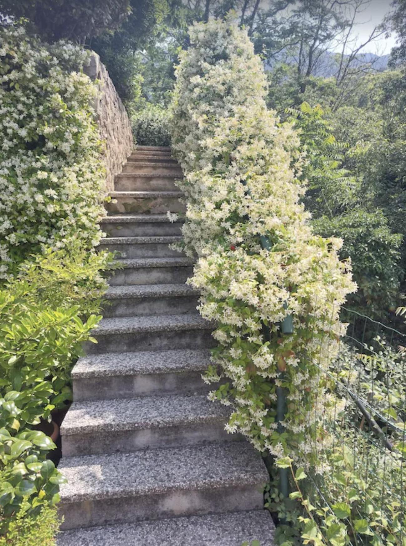לאביס Cottage Lavanda E Rosmarino מראה חיצוני תמונה