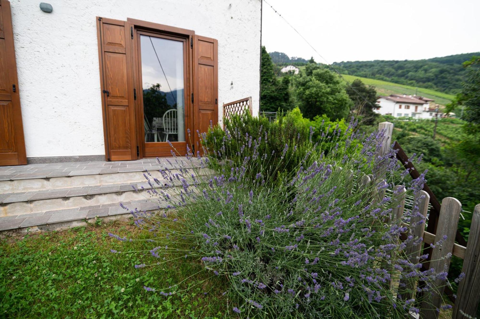 לאביס Cottage Lavanda E Rosmarino מראה חיצוני תמונה