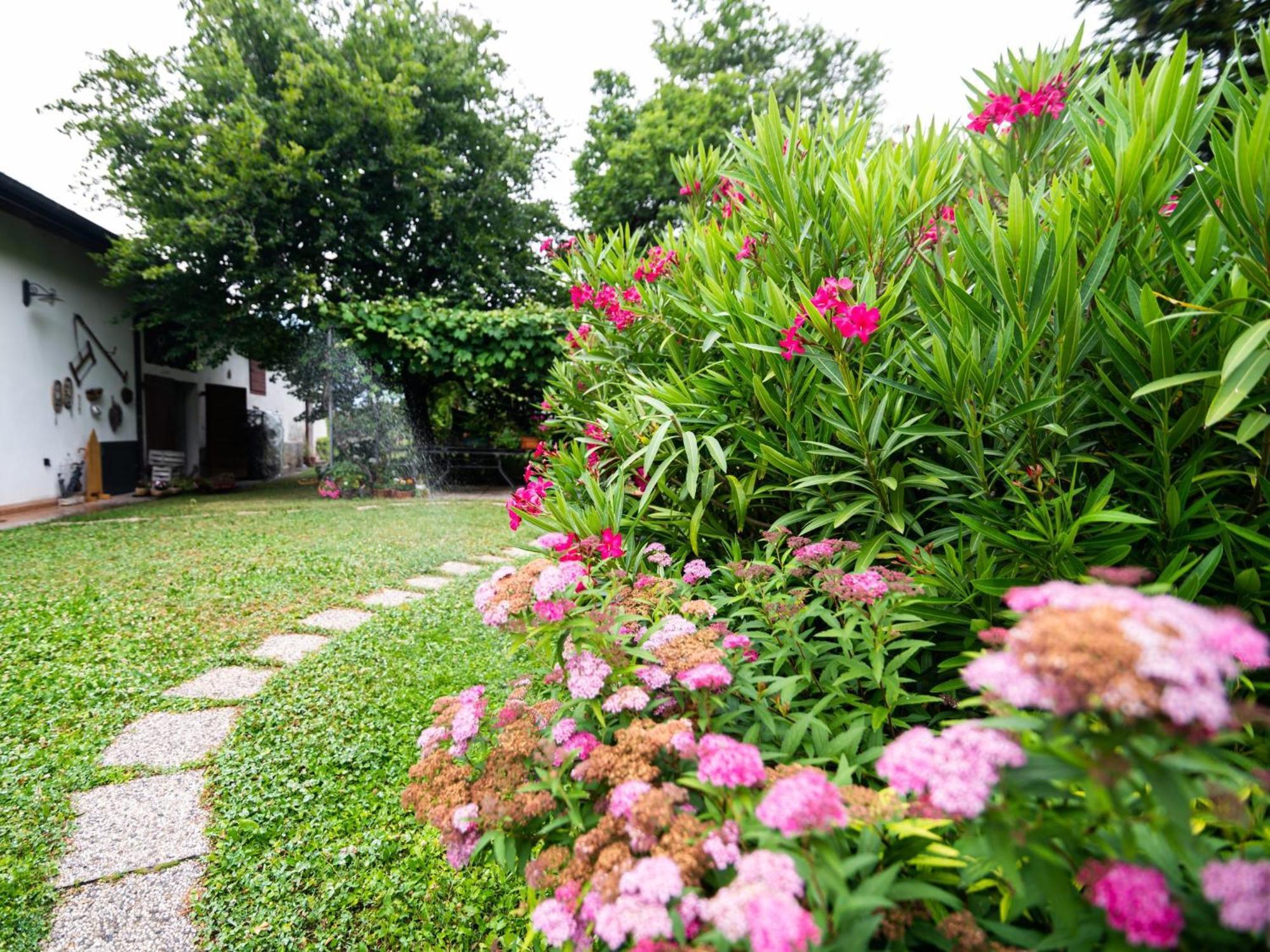 לאביס Cottage Lavanda E Rosmarino מראה חיצוני תמונה