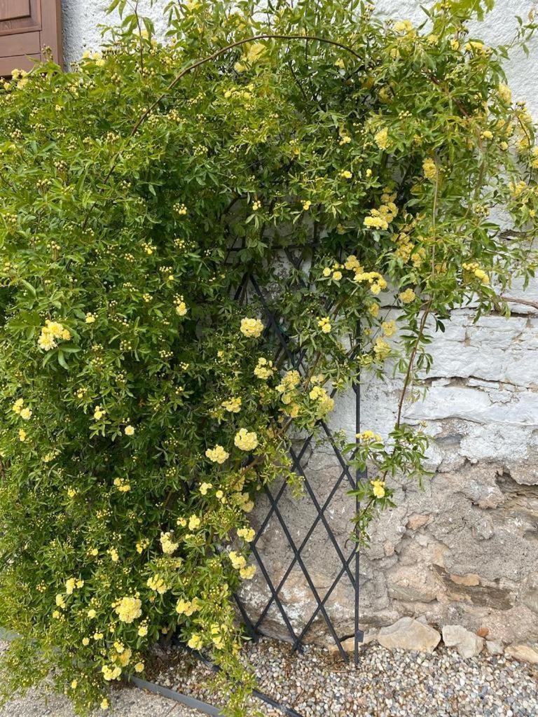 לאביס Cottage Lavanda E Rosmarino מראה חיצוני תמונה