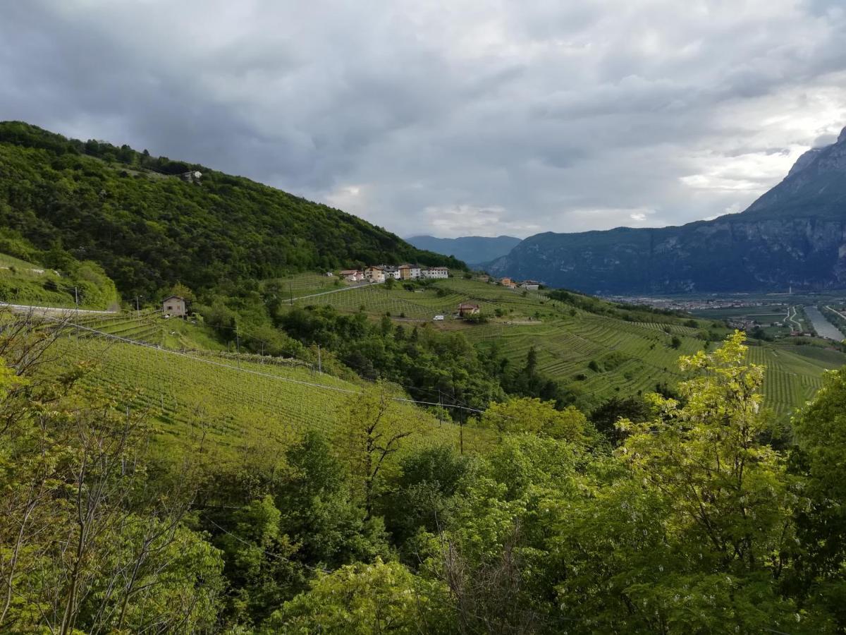 לאביס Cottage Lavanda E Rosmarino מראה חיצוני תמונה